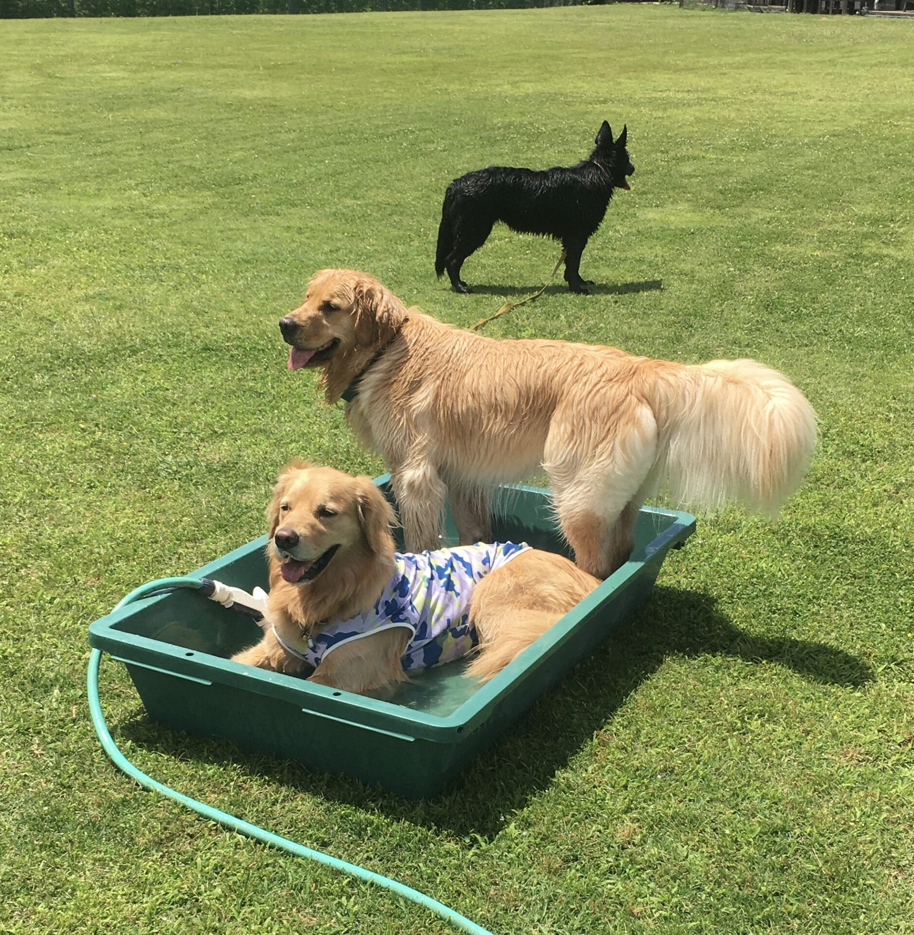 ファイル 8348-3.jpeg