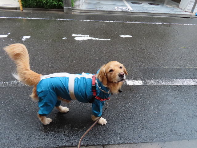 ファイル 8349-2.jpg