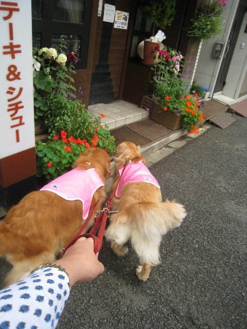 ファイル 835-1.jpg