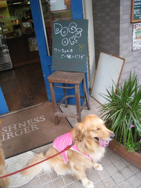 ファイル 835-2.jpg