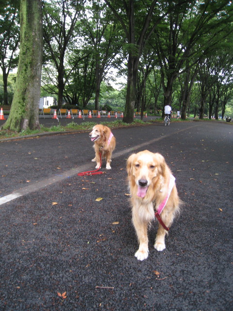 ファイル 835-4.jpg