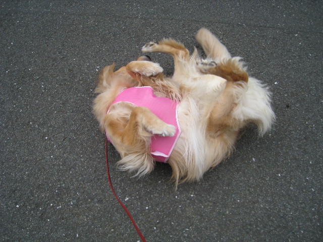 ファイル 835-5.jpg