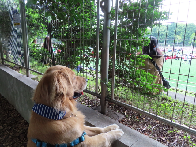 ファイル 8350-1.jpg