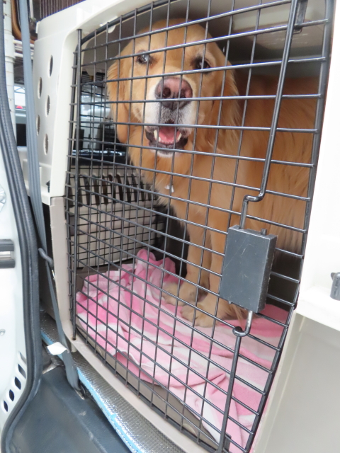 ファイル 8350-3.jpg