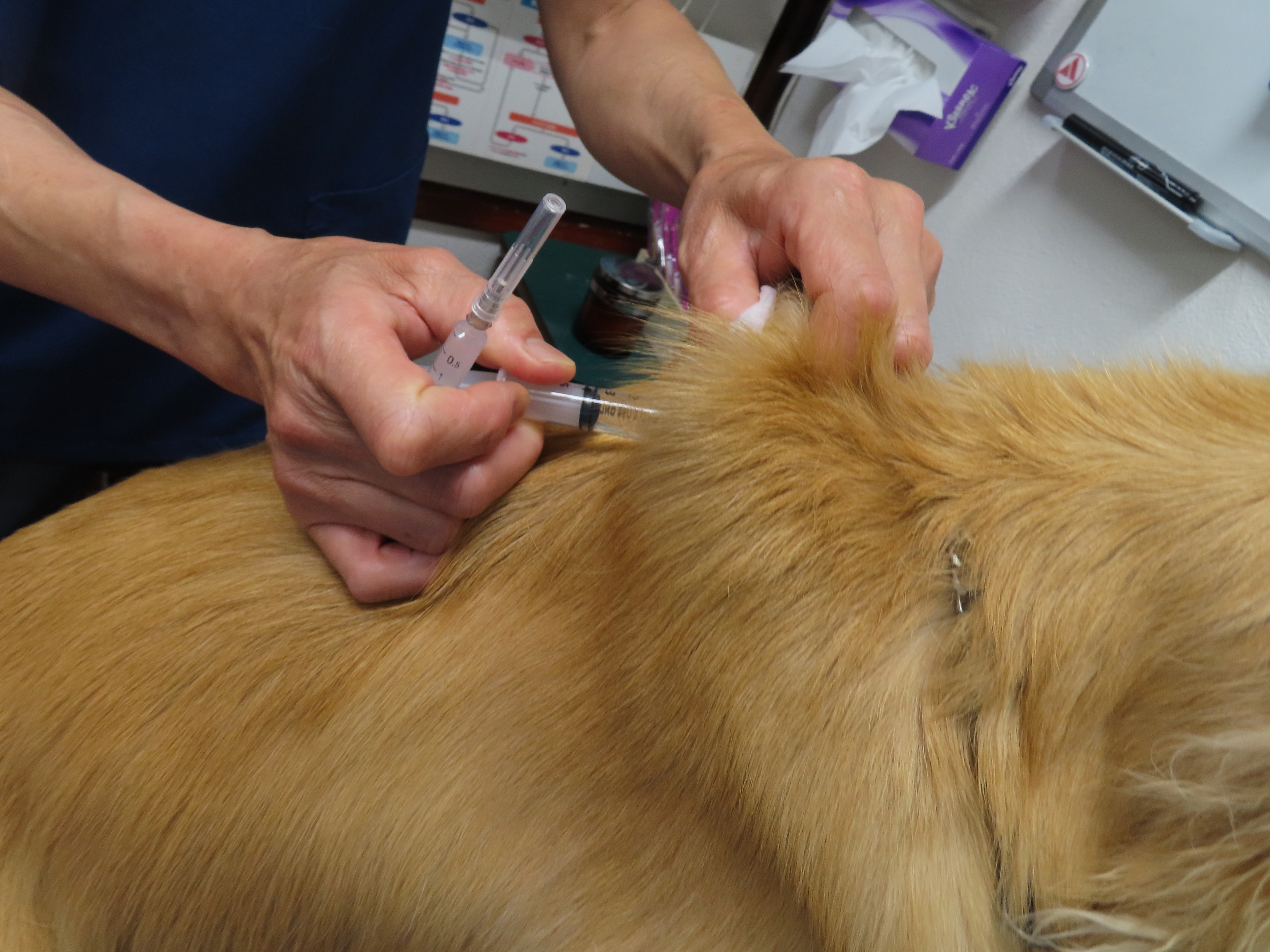 ファイル 8350-4.jpg