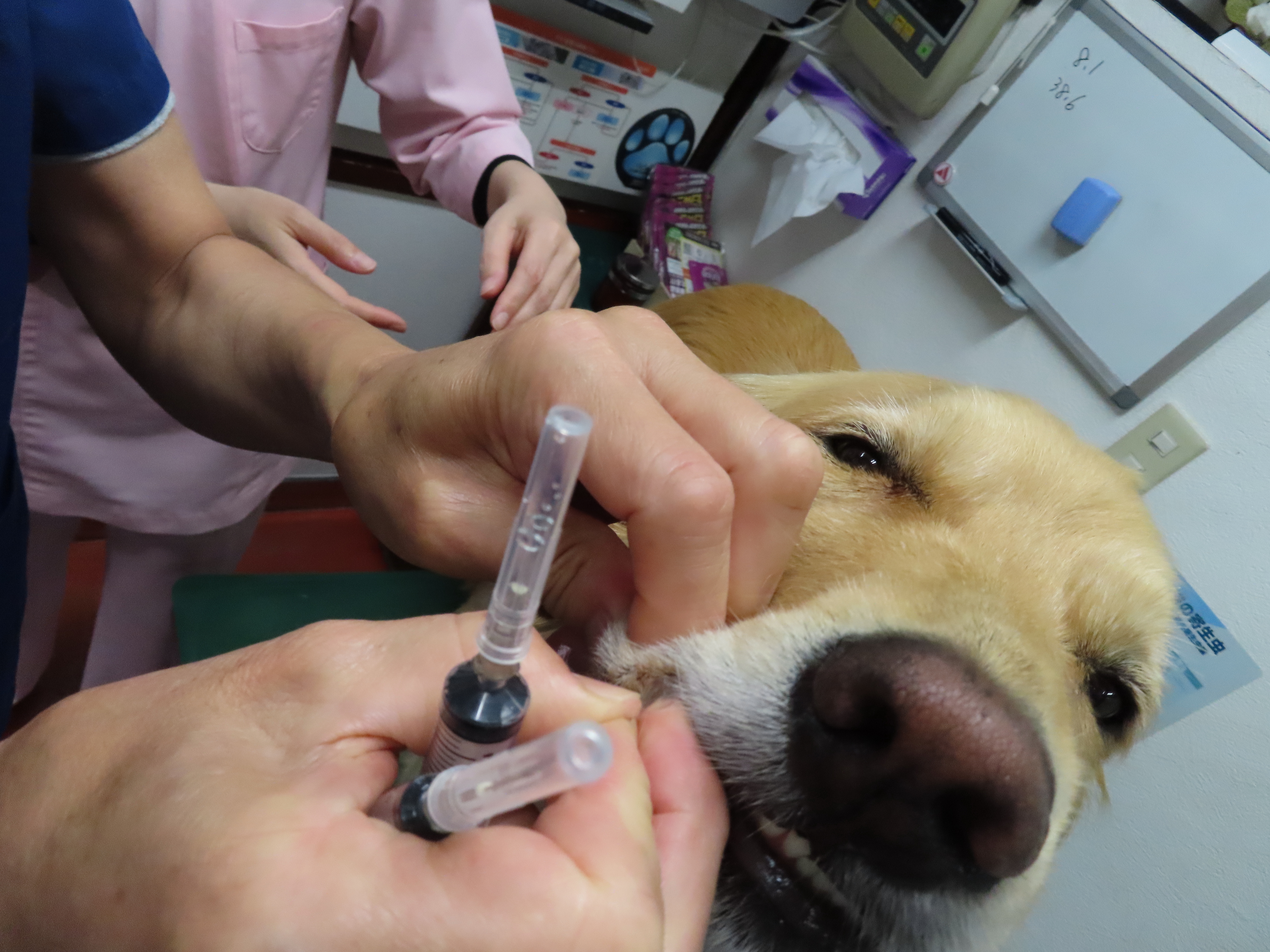 ファイル 8350-5.jpg