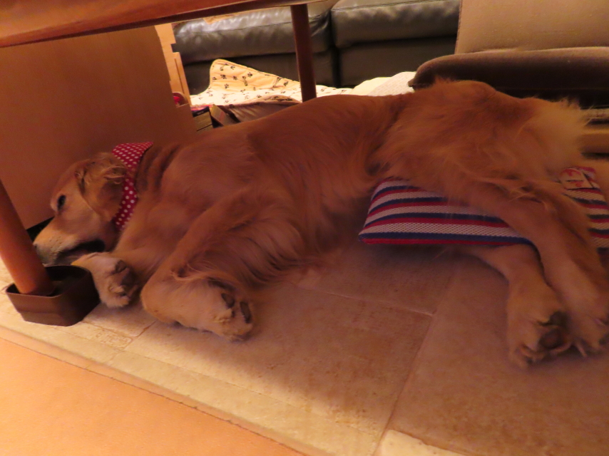 ファイル 8351-2.jpg