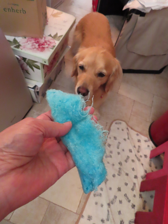 ファイル 8351-3.jpg