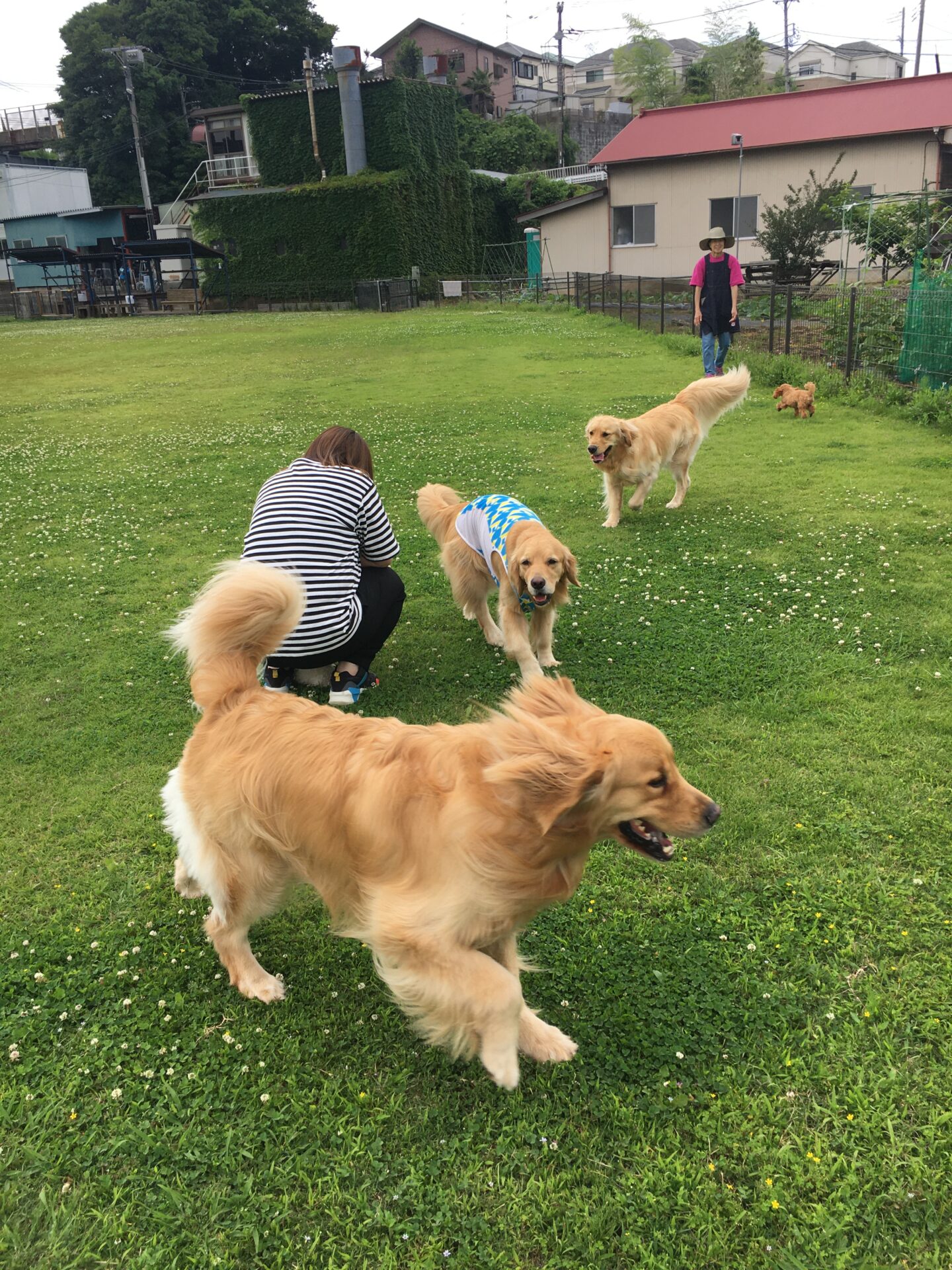 ファイル 8352-1.jpeg