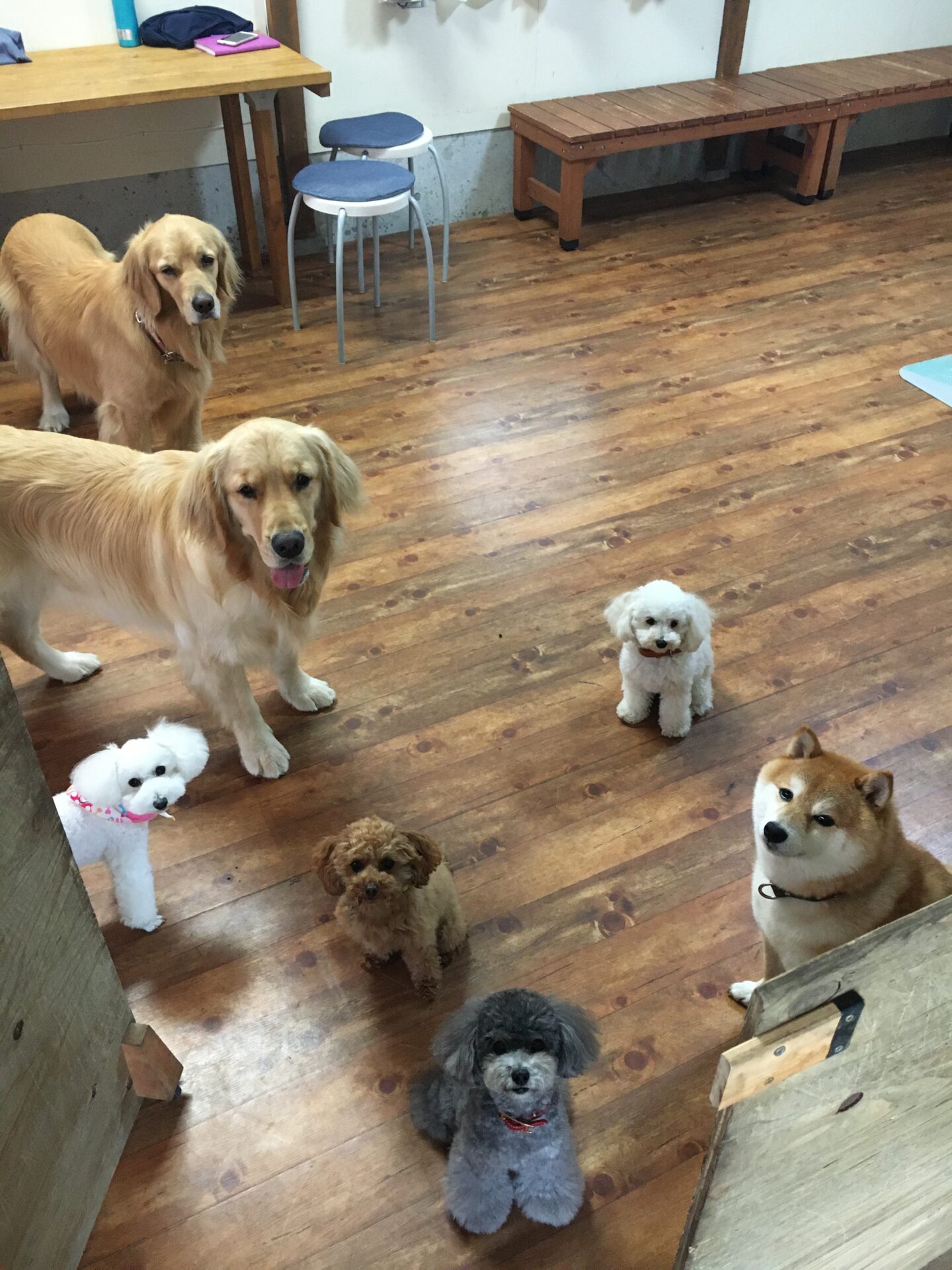 ファイル 8352-4.jpeg