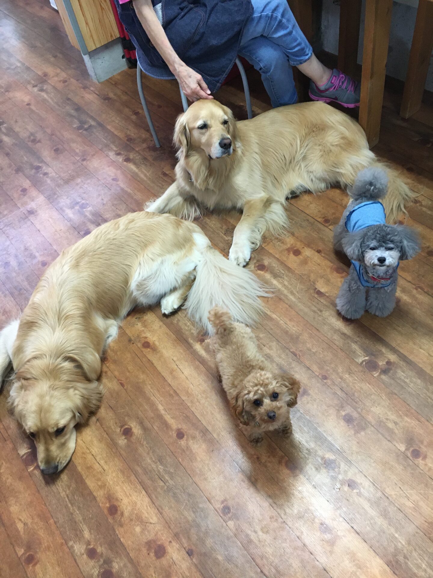 ファイル 8352-5.jpeg