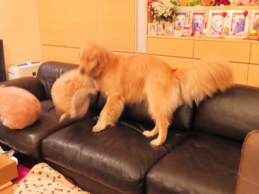 ファイル 8353-1.jpg