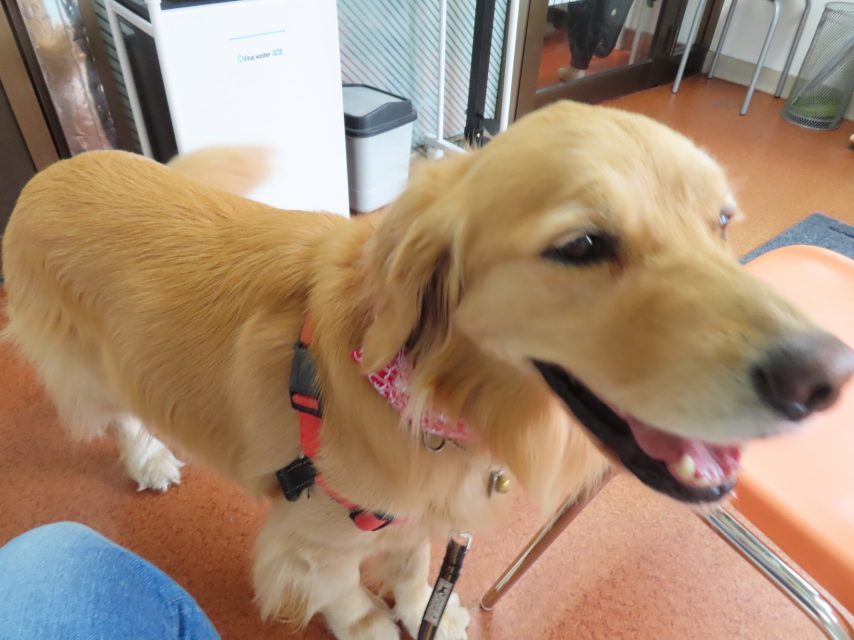 ファイル 8353-3.jpg