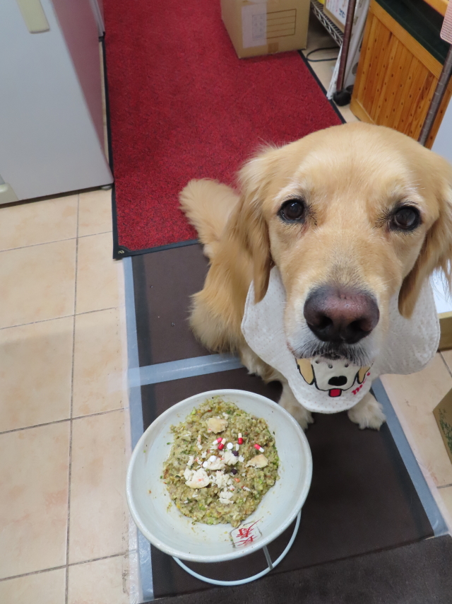 ファイル 8353-4.jpg