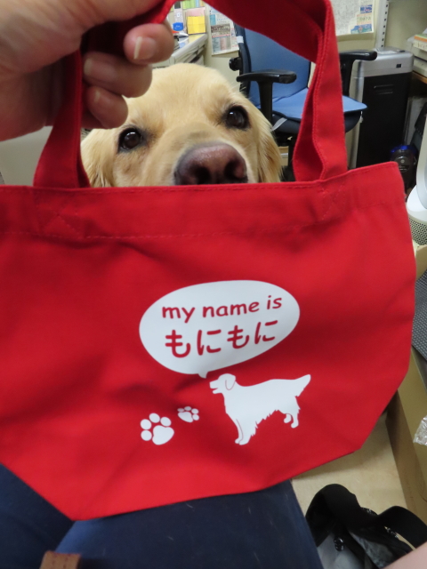 ファイル 8354-1.jpg