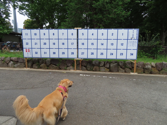 ファイル 8354-5.jpg