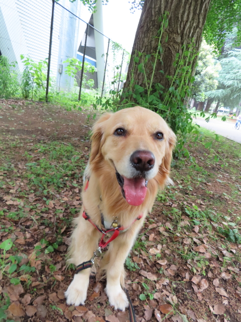 ファイル 8355-1.jpg