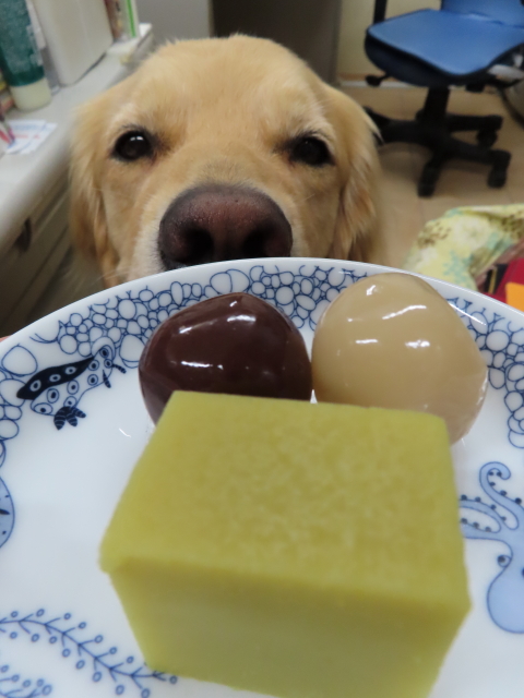 ファイル 8355-5.jpg