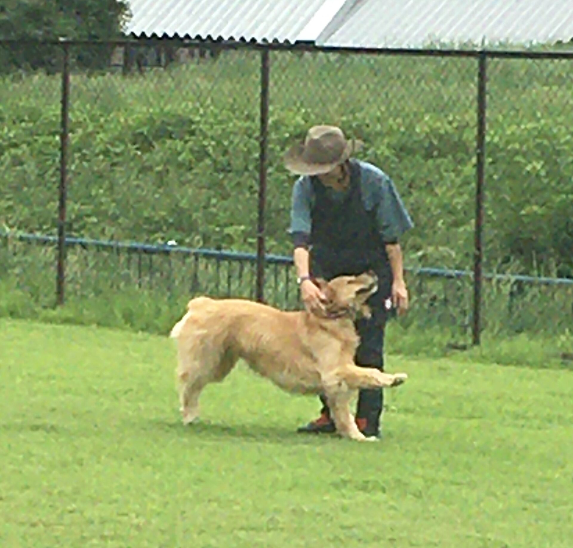 ファイル 8356-1.jpeg