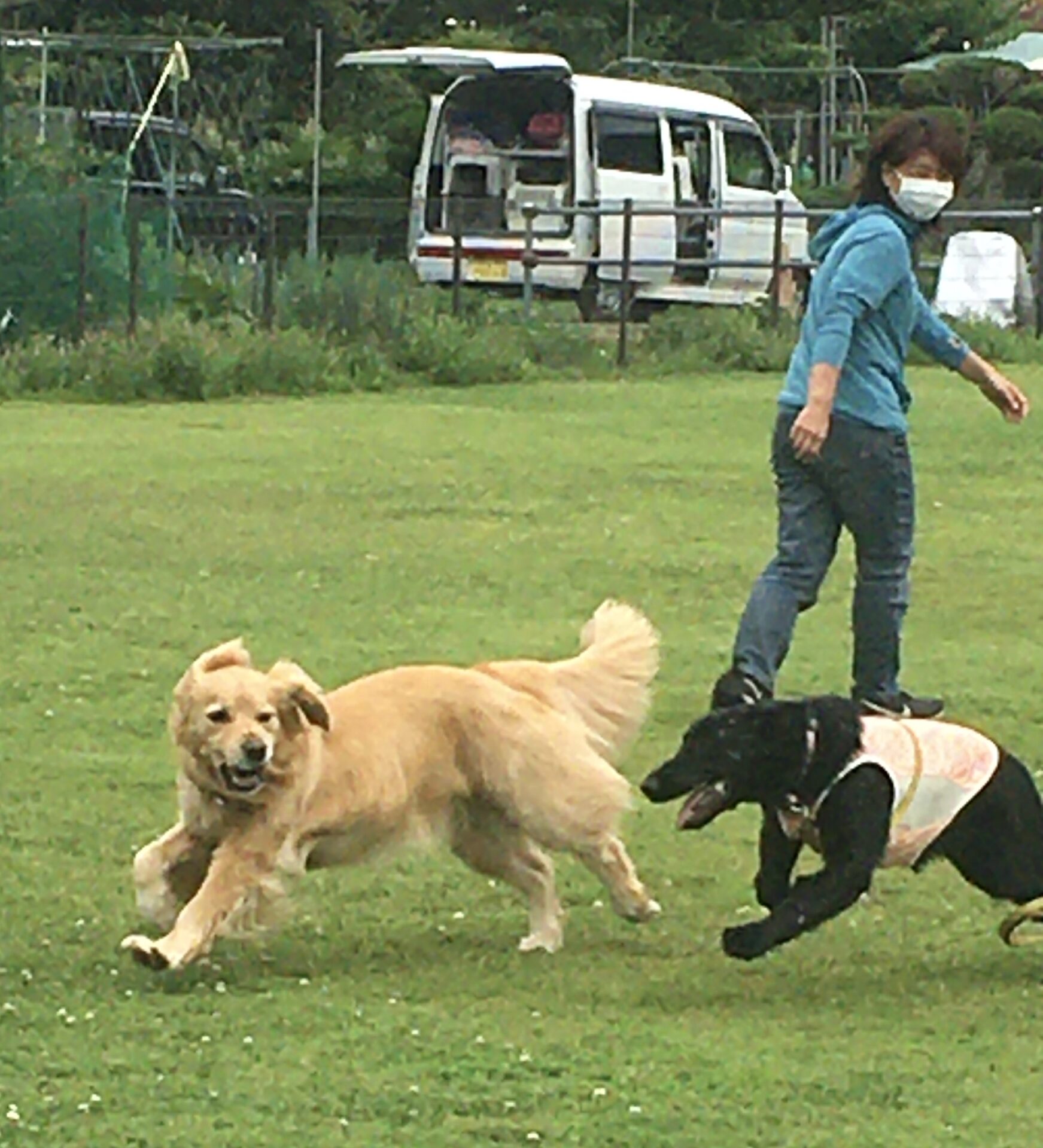 ファイル 8356-3.jpeg