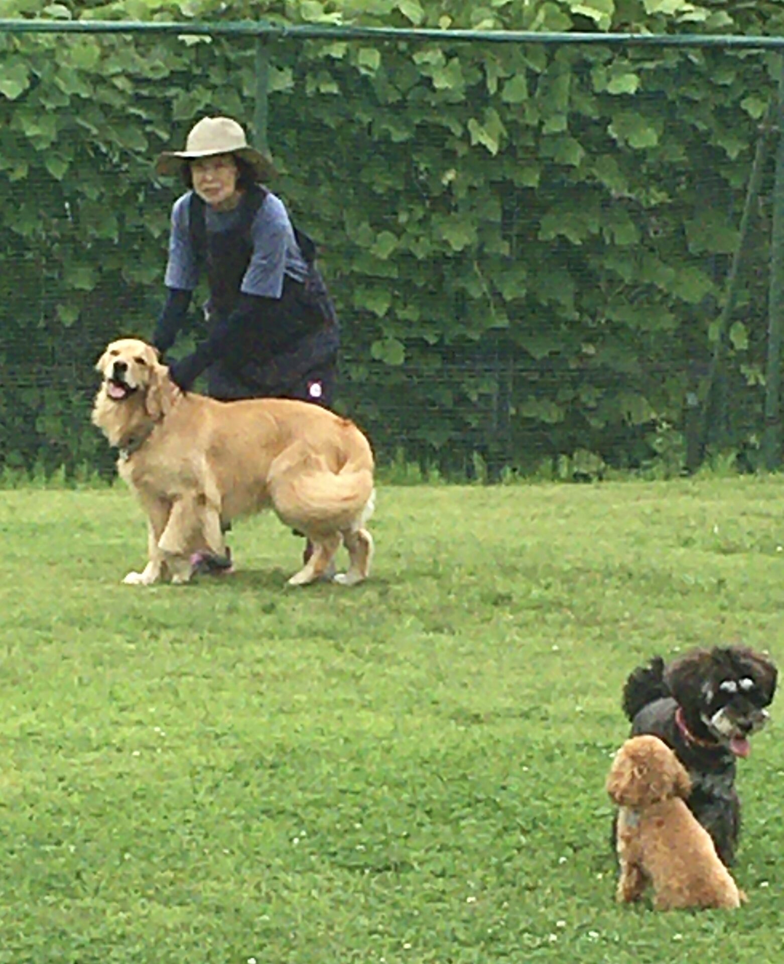 ファイル 8356-4.jpeg