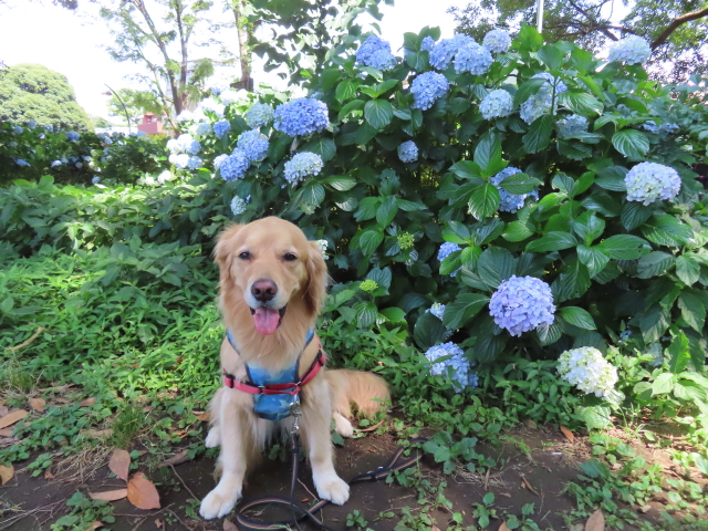 ファイル 8357-2.jpg