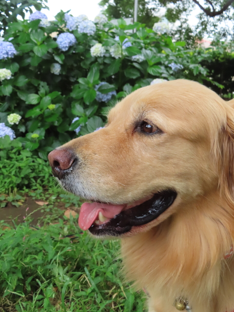 ファイル 8358-1.jpg