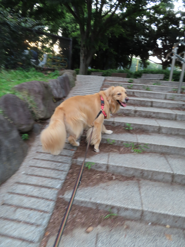 ファイル 8359-3.jpg