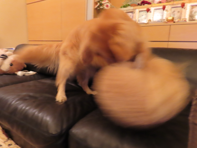 ファイル 8359-4.jpg