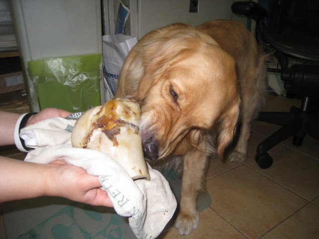 ファイル 836-5.jpg