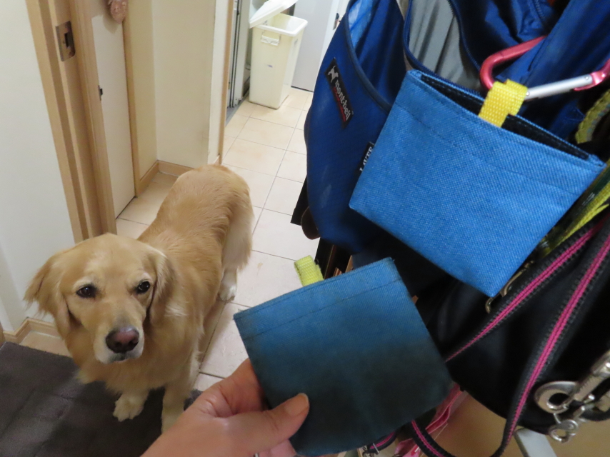 ファイル 8361-5.jpg