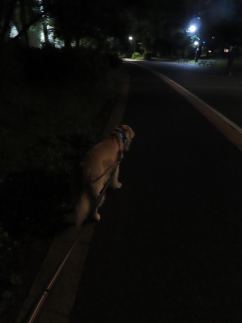 ファイル 8363-4.jpg