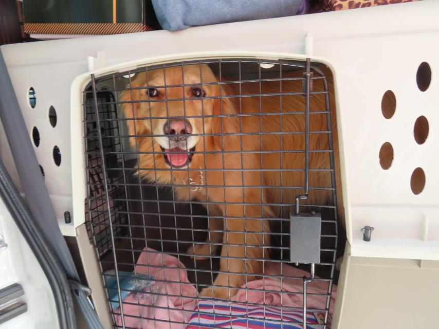 ファイル 8364-1.jpg