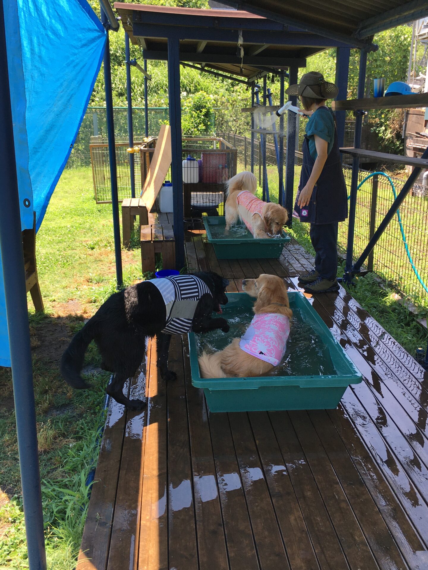 ファイル 8364-3.jpeg