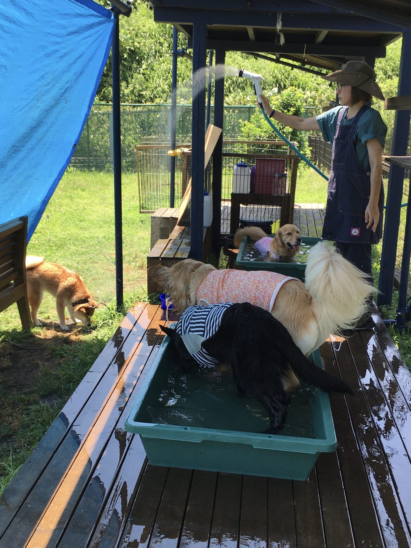 ファイル 8364-4.jpeg