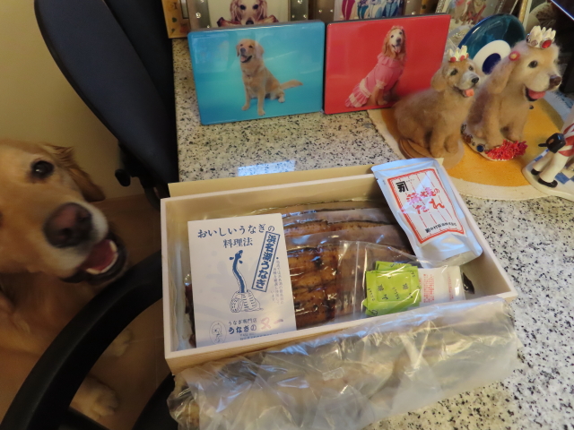 ファイル 8365-2.jpg