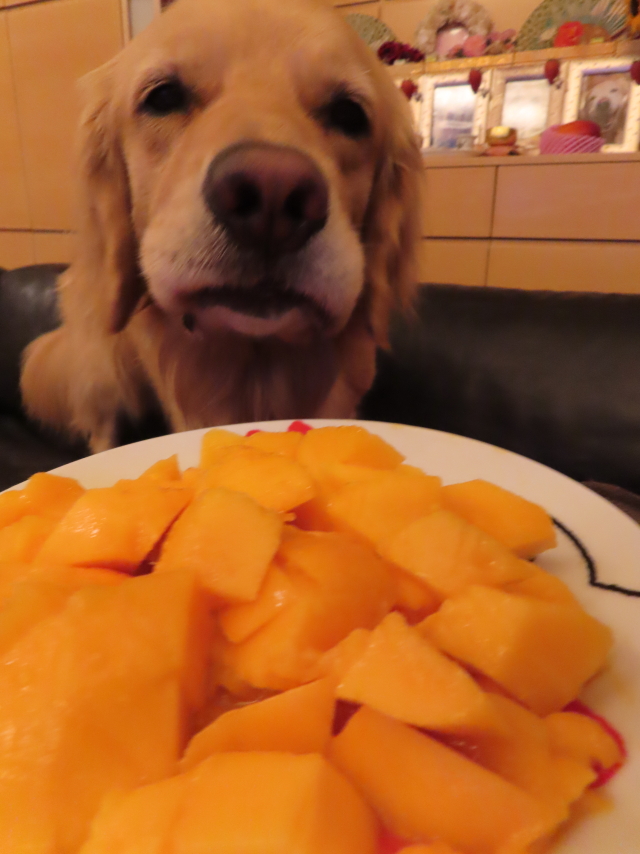 ファイル 8365-5.jpg