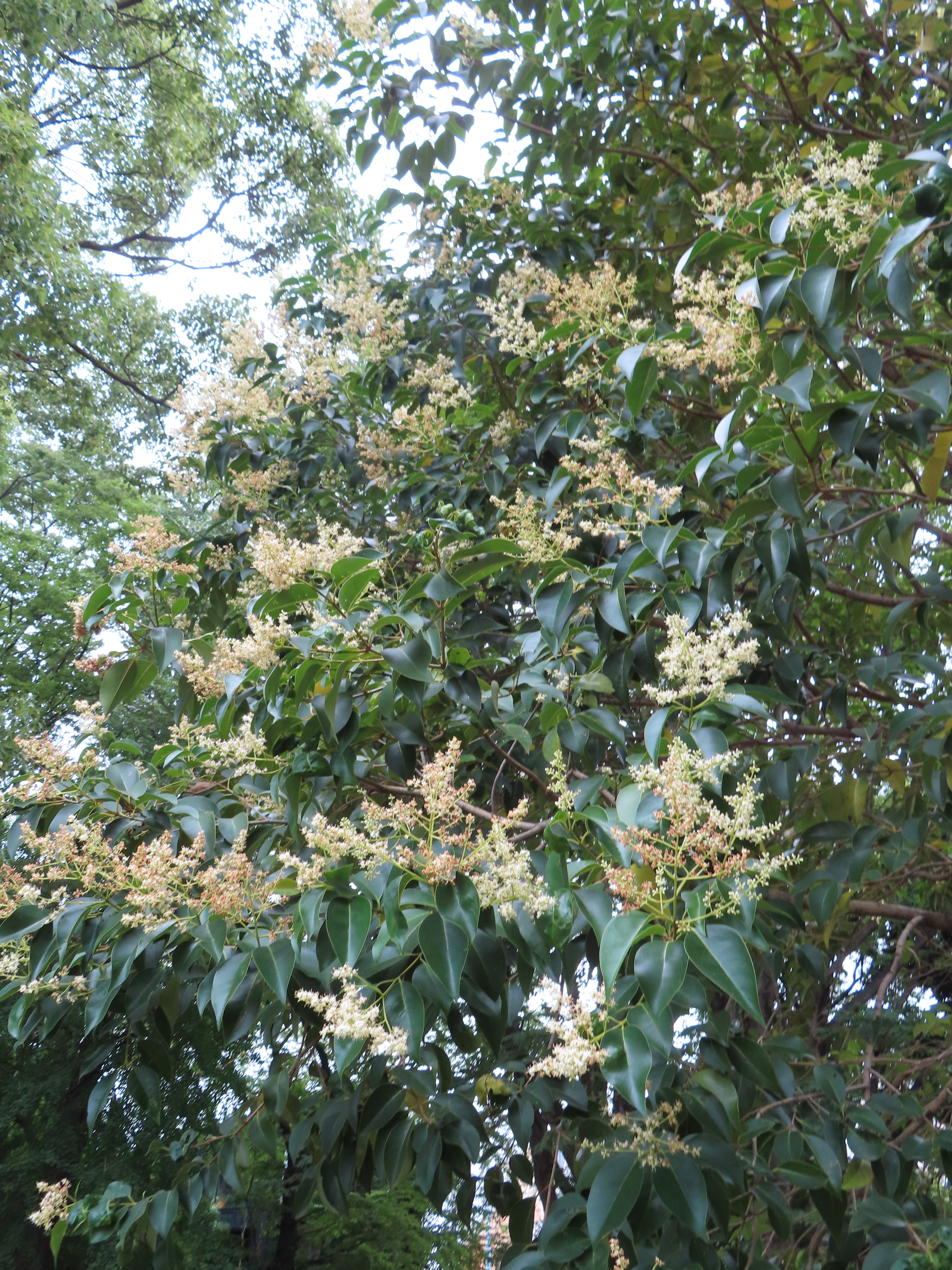 ファイル 8366-3.jpg