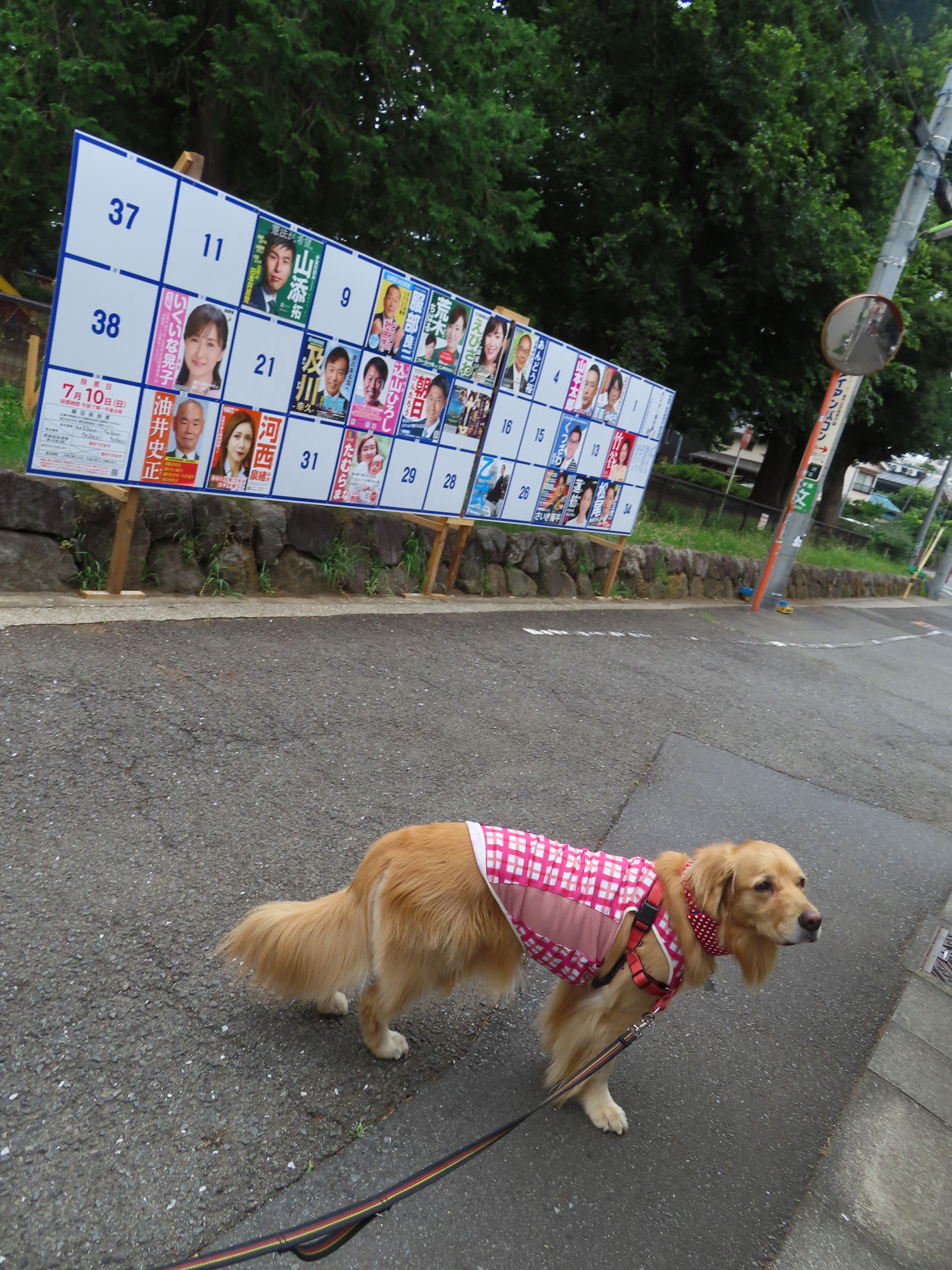 ファイル 8366-4.jpg