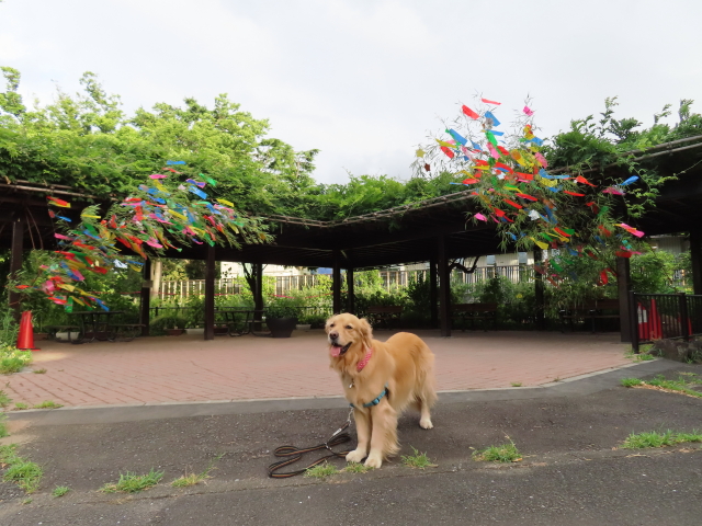 ファイル 8367-1.jpg