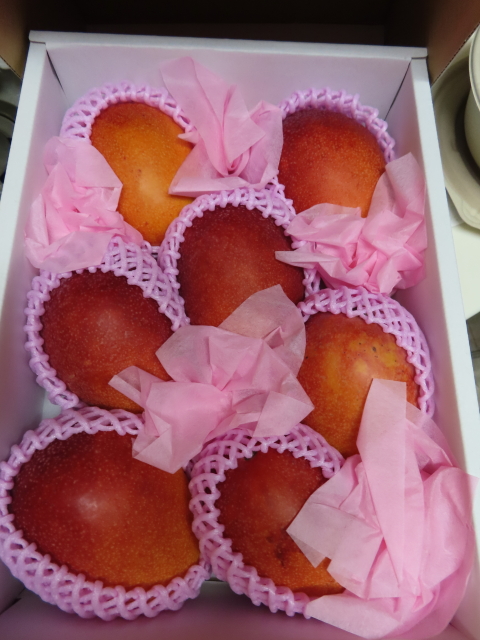 ファイル 8367-3.jpg