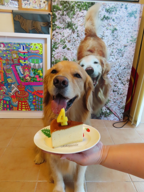 ファイル 8368-1.jpg