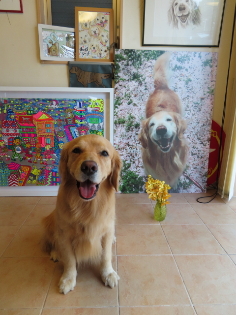 ファイル 8368-4.jpg