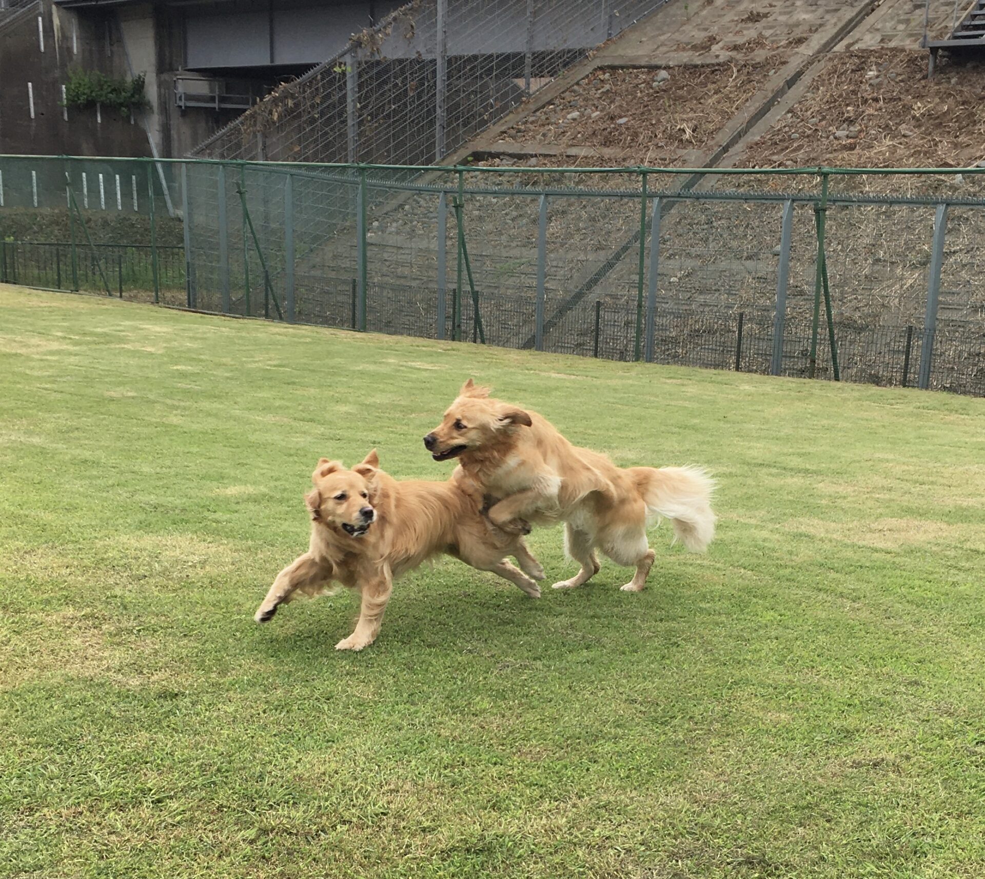 ファイル 8369-1.jpeg