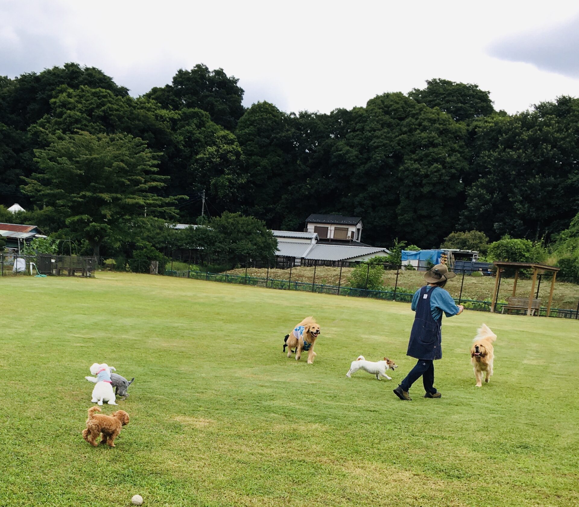 ファイル 8369-3.jpeg