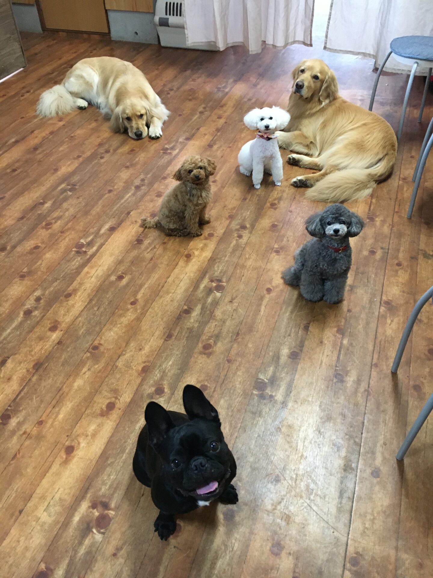 ファイル 8369-5.jpeg