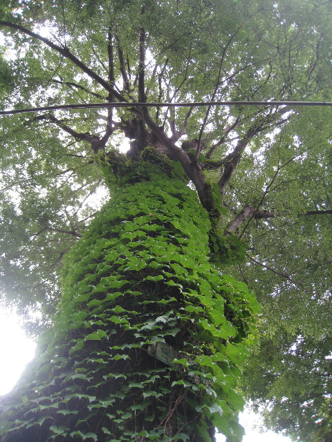 ファイル 837-1.jpg