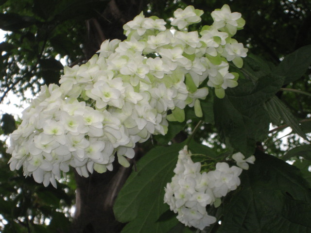 ファイル 837-4.jpg