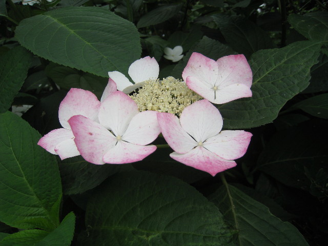 ファイル 837-5.jpg