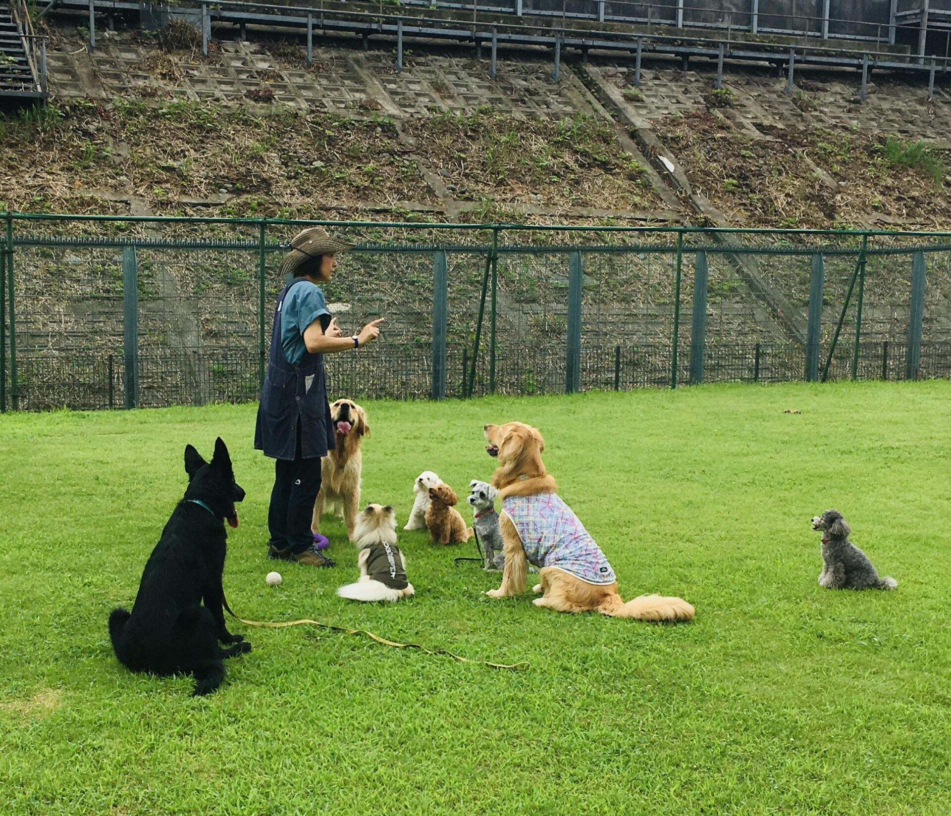 ファイル 8370-1.jpeg